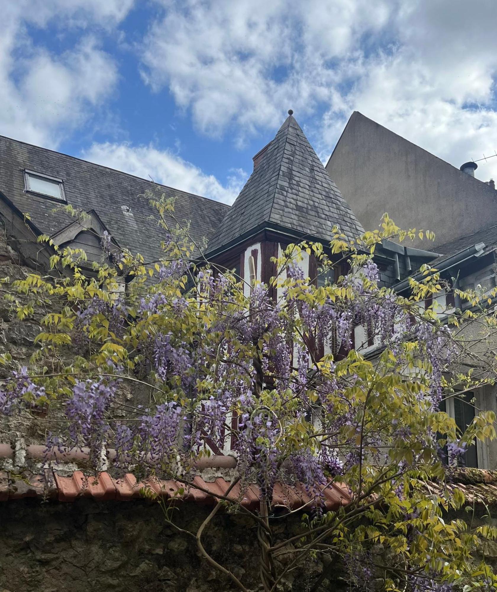 Chatel Rose - Historical Centre With Garden Блоа Екстериор снимка