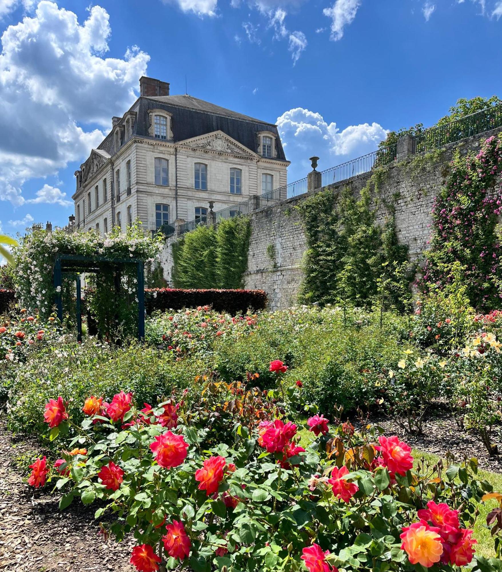 Chatel Rose - Historical Centre With Garden Блоа Екстериор снимка